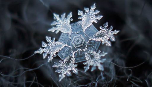 Extreme close-up of a snowflake on a dark blue background.