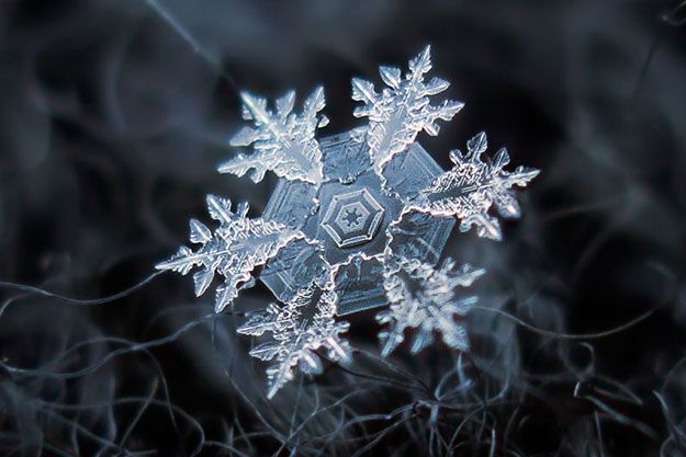 Extreme close-up of a snowflake on a dark blue background.