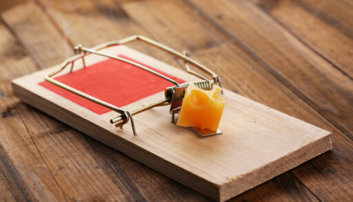 Wooden mousetrap with a piece of orange cheese in the middle.