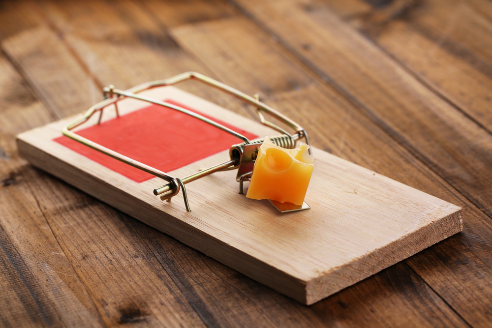 Wooden mousetrap with a piece of orange cheese in the middle.