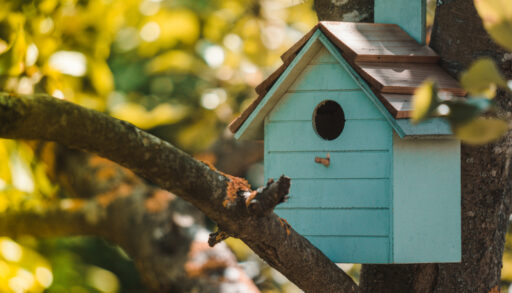 Turquoise-coloured bird house attached to a tree with green leaves.