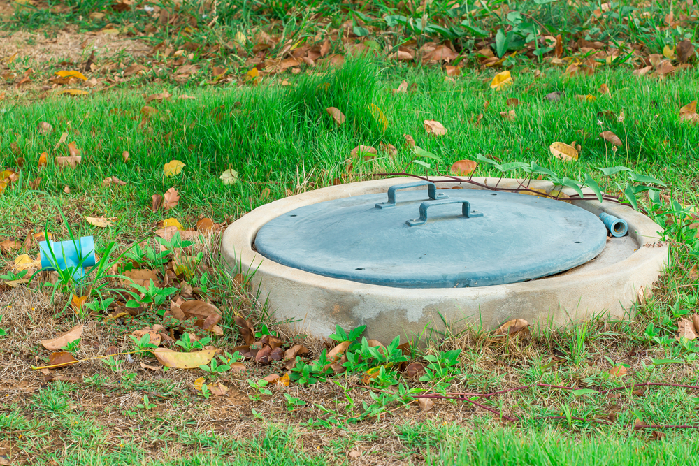 Green septic tank lid in a grassy field.