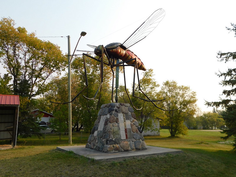 Giant mosquito in Komarno, Manitoba