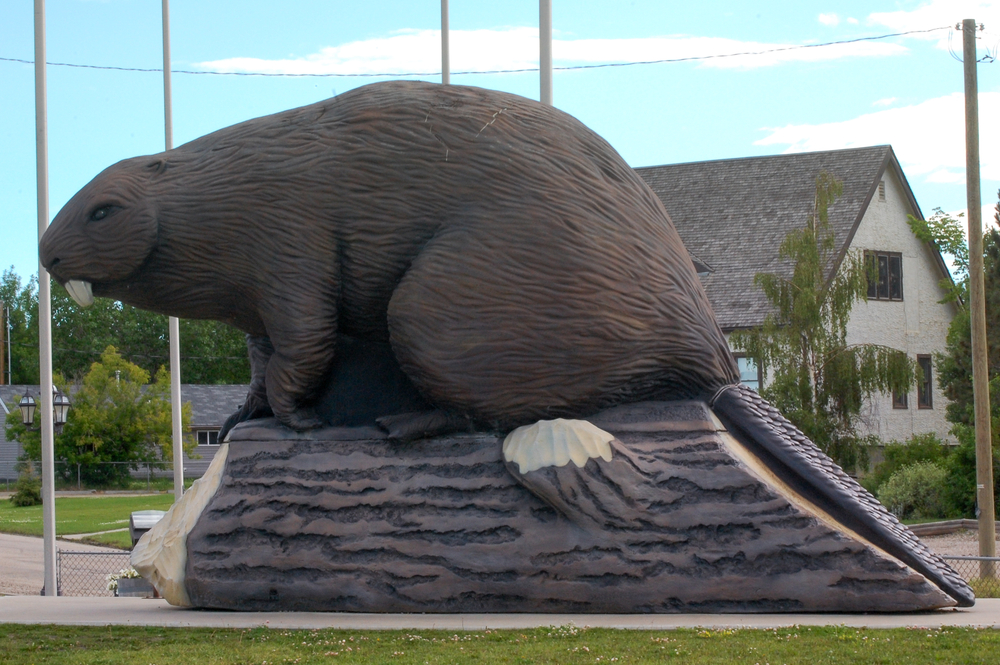 Giant beaver in Beaverlodge, Alberta