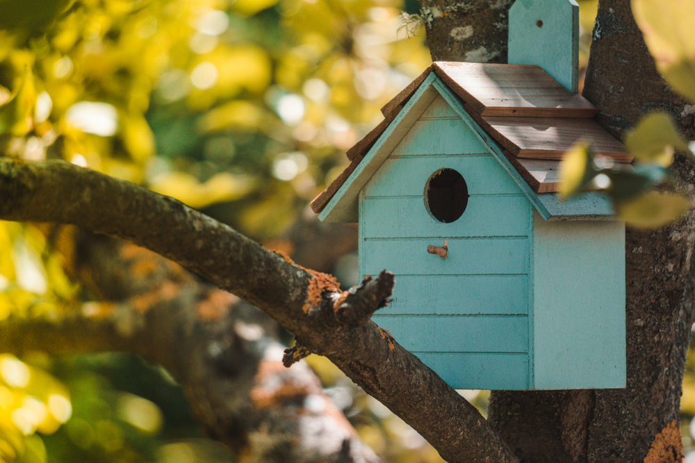 Turquoise-coloured birdhouse in a tree with green leaves.