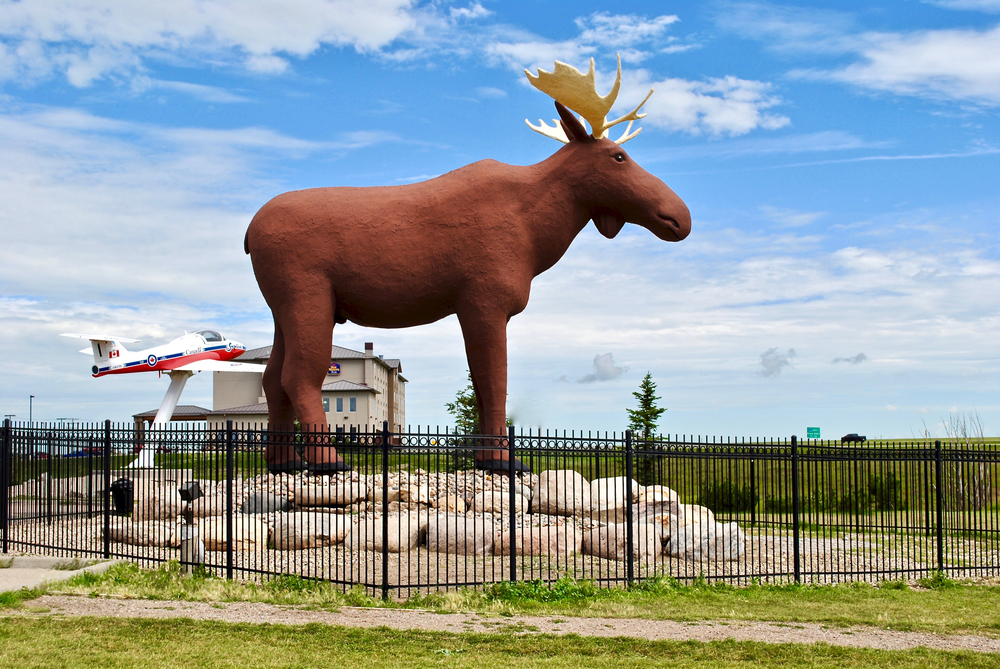 World’s largest moose in Moose Jaw, Saskatchewan