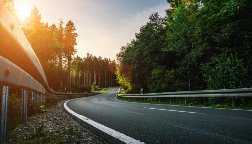Close-up of a curved road running through a forest at sunset.