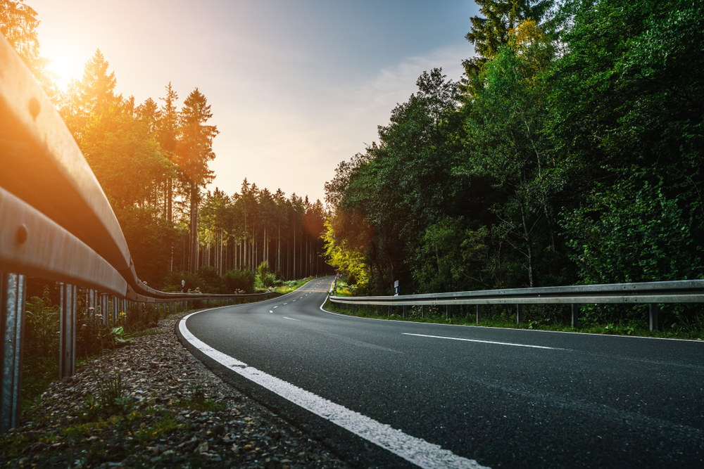 Close-up of a curved road running through a forest at sunset.
