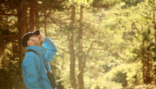 Man in a blue jacket wearing binoculars looking up in a forest.