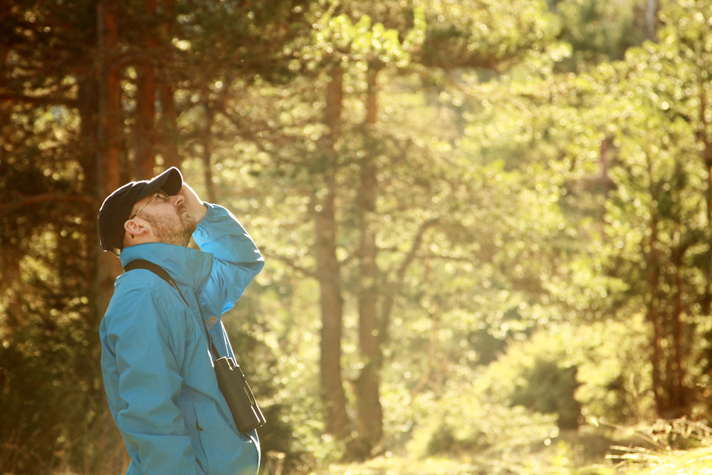 Man in a blue jacket wearing binoculars looking up in a forest.