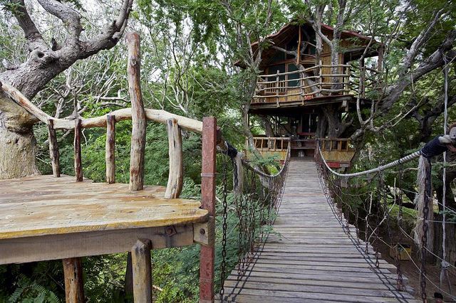 Sanya Nanshan Treehouses (Island of Hainan, South China Sea)