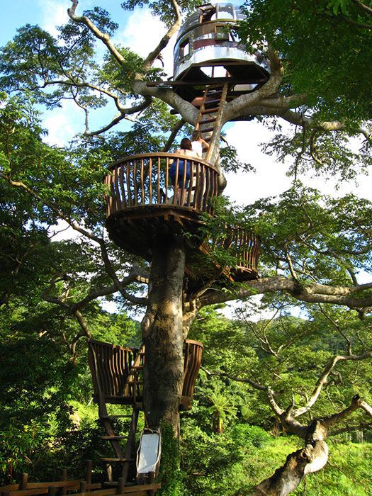 Beach Rock Village Treehouse