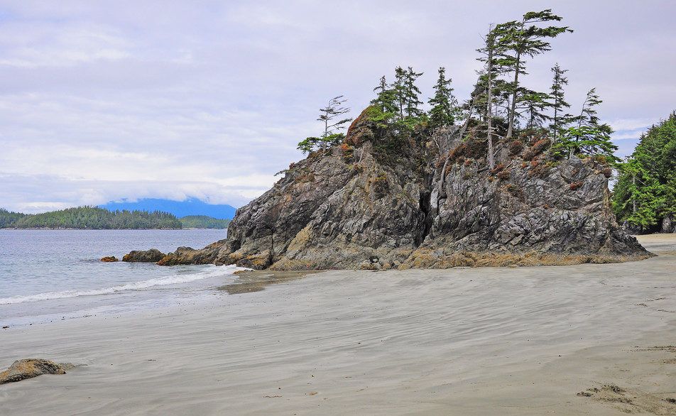 Rocky cliff on Brady's Beach covered with trees.