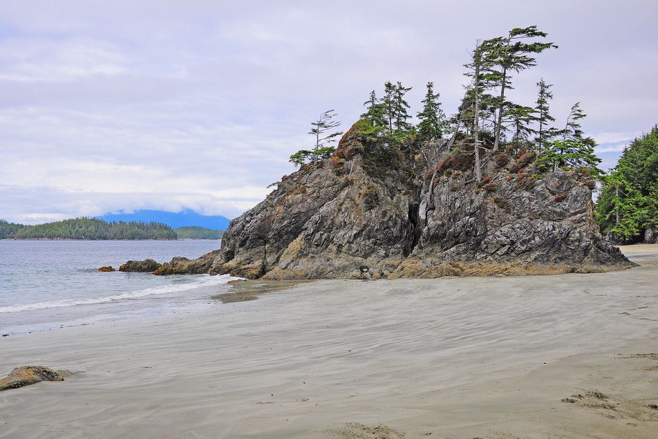 Rocky cliff on Brady's Beach covered with trees.