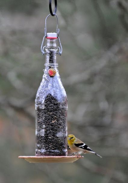 Wine bottle bird feeder