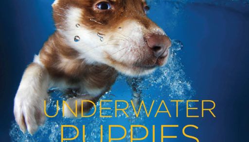 Underwater Puppies