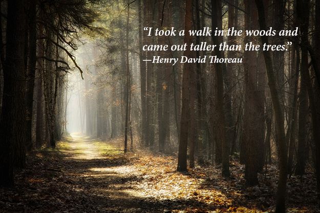 artworks-photo/Shutterstock.com