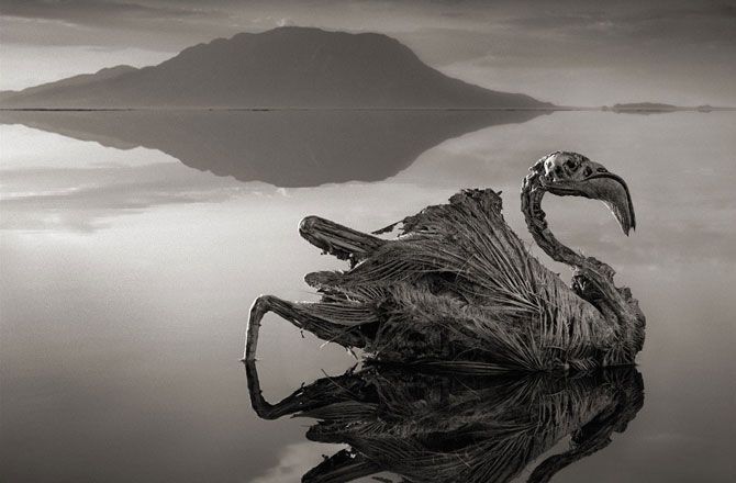 Lake Natron, Tanzania