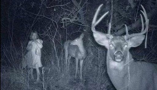 9 Spooky Trail Cam Photographs