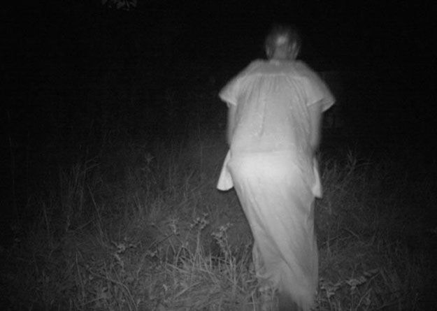 9 Spooky Trail Cam Photographs