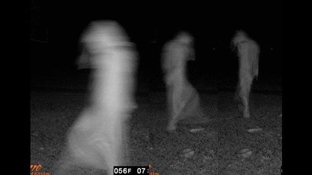 9 Spooky Trail Cam Photographs