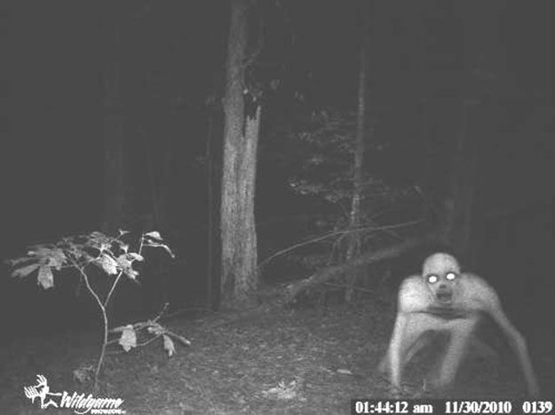 9 Spooky Trail Cam Photographs