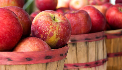 Close-up of wooden barrels filled with red apples.