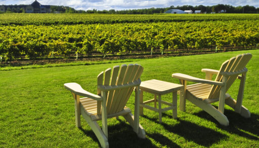Two Muskoka chairs overlooking a wine vineyard.