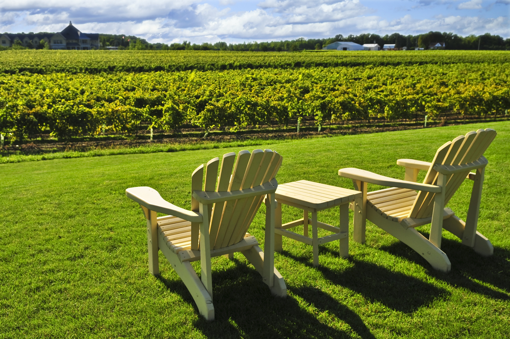 Two Muskoka chairs overlooking a wine vineyard.