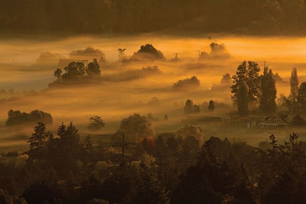 1st Place: Nature and landscapes