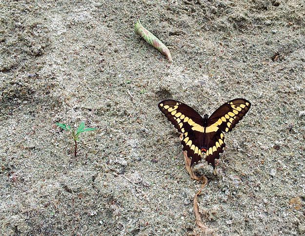 3rd Place: Photos by Kids