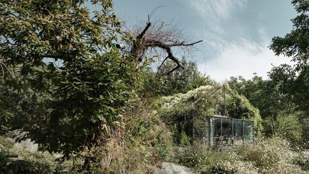 Green Box: Lombardy, Italy