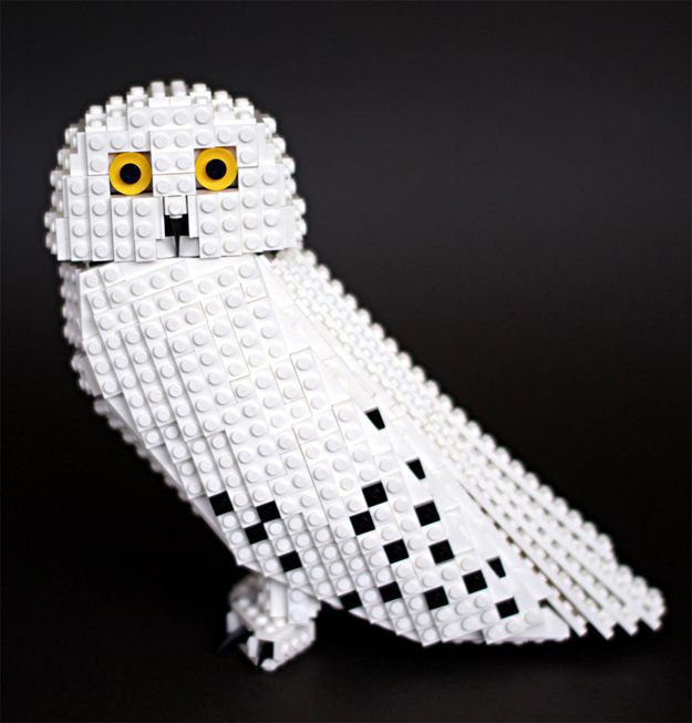 Stormy the Snowy Owl