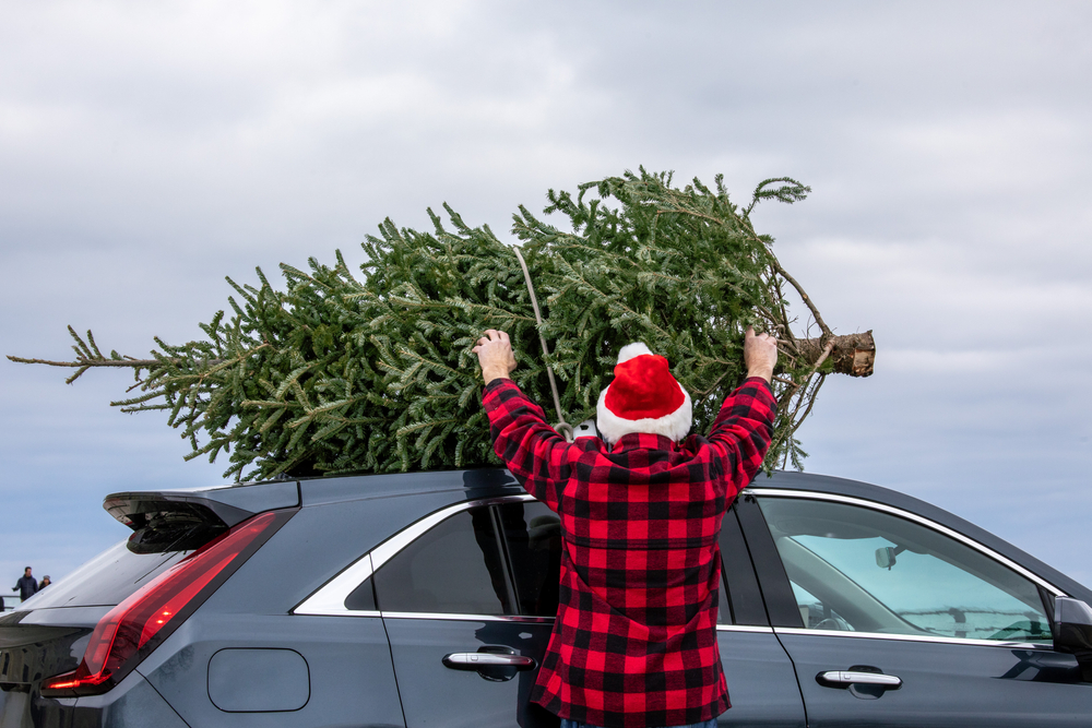 Man in a red plaid shirt, wearing a Santa hat, attaching a pine tree to the top of his car.