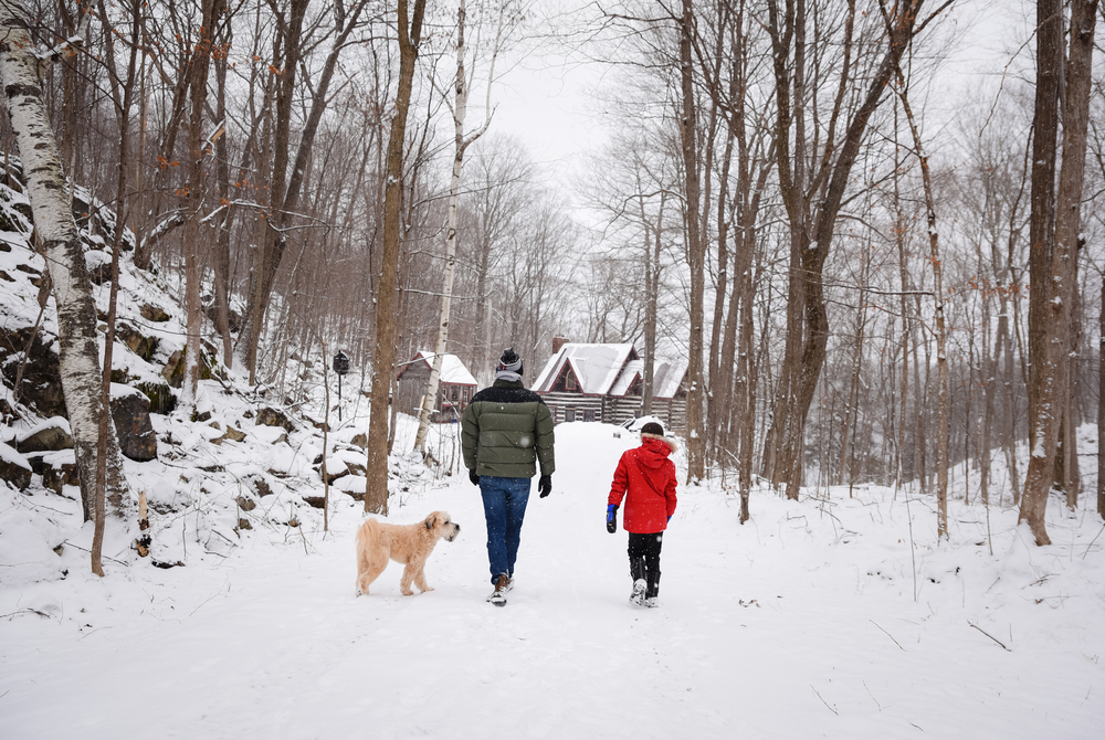 Father, son and dog walking down a path to a log cabin in winter.