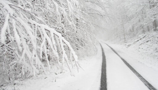 Country road surrounded by trees covered in snow.