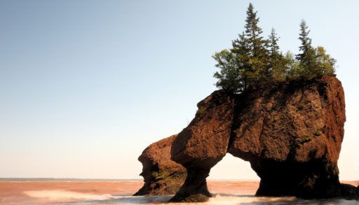 Hopewell Rocks, Bay of Fundy, New Brunswick