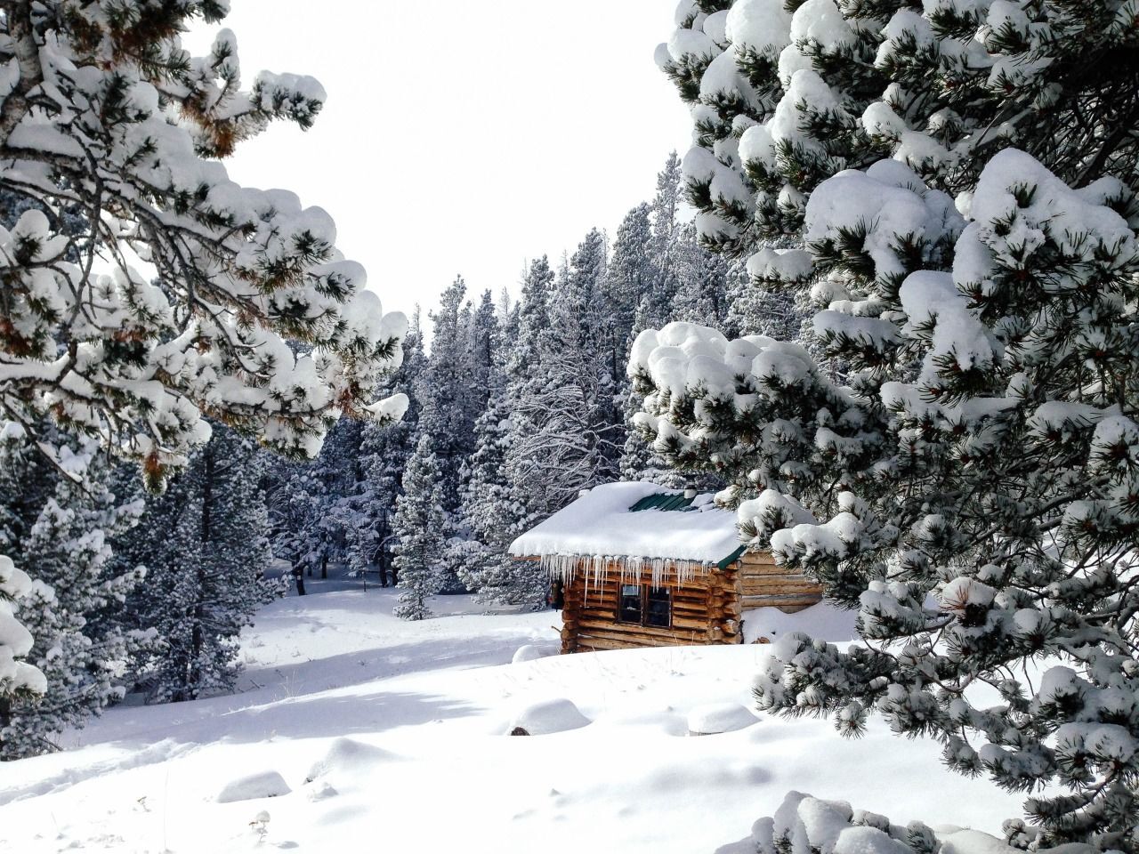 Roosevelt National Forest, Colorado