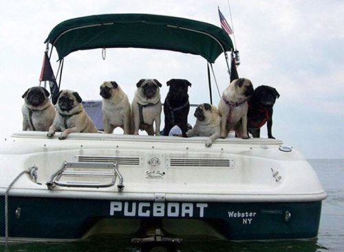 Pugboat
