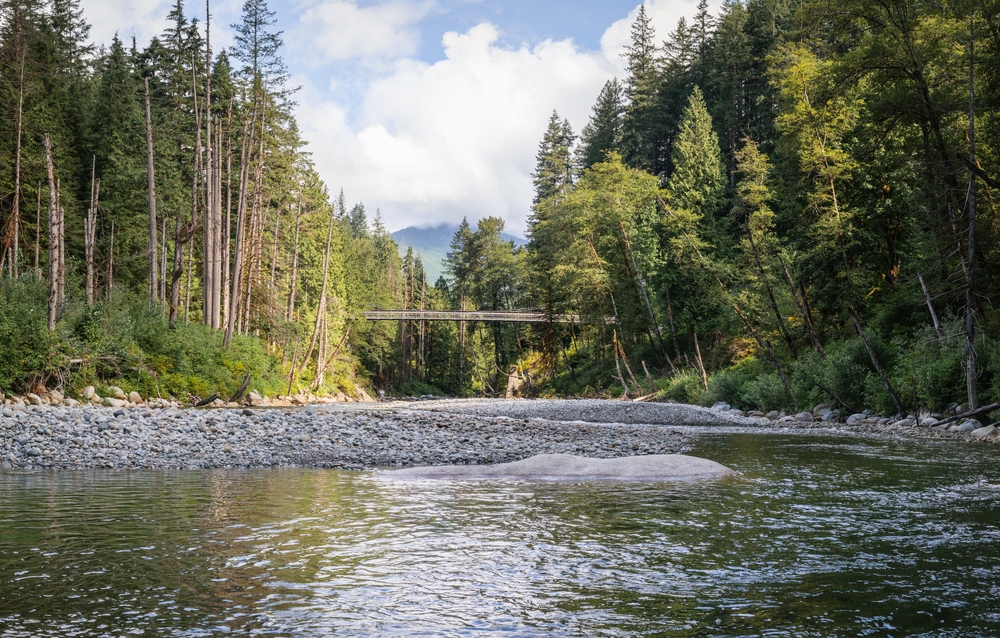 View of a suspension bridge over the Seymour River, in North Vancouver, B.C.