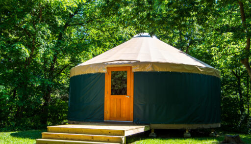 Green yurt with a wooden door surrounded by trees.