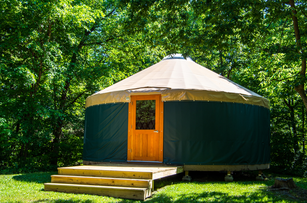 Green yurt with a wooden door surrounded by trees.