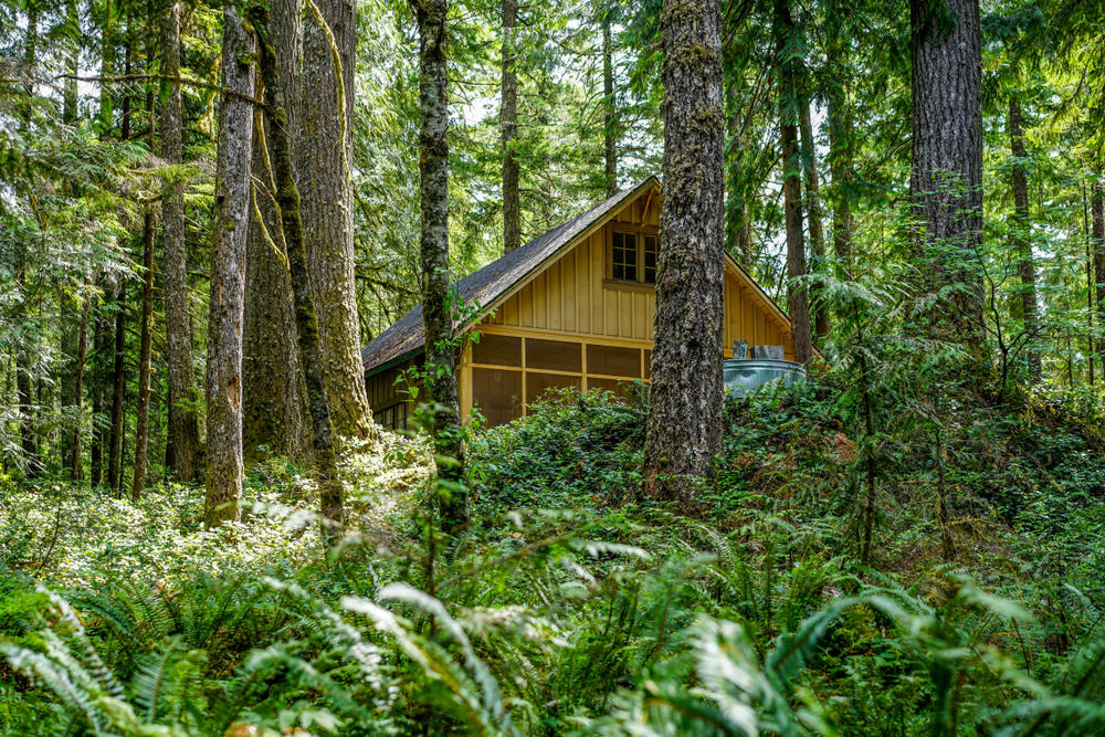 Wooden cabin in the middle of a forest in Oregon.