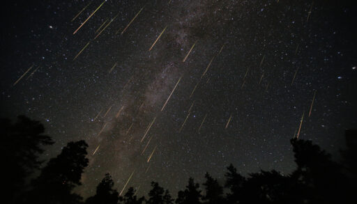 Perseid meteor shower in a dark sky with silhouettes of trees.
