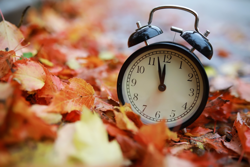 Vintage alarm clock sitting in a pile of autumn leaves.