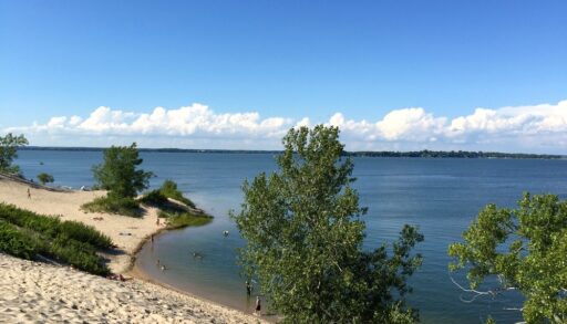 Beach with trees in Sandbanks Provincial Park, Picton, Ontario.