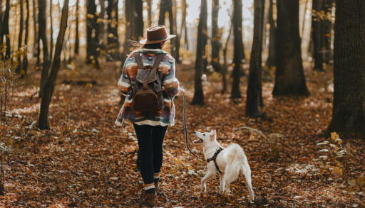 A woman hiking through the woods with her dog.