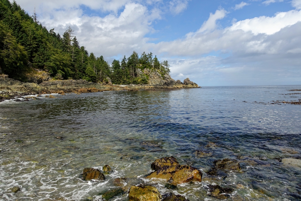 Beach surrounded by trees in Gwaii Haanas National Park, British Columbia.