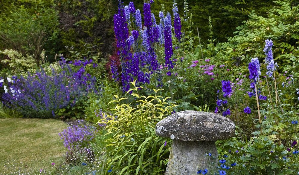 Cottage garden