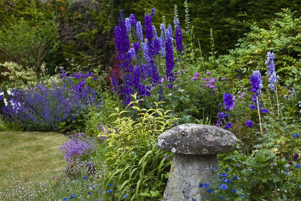 Cottage garden